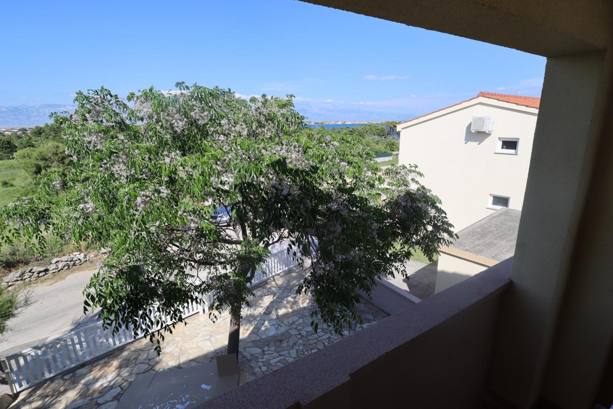 Apartment ˝abaza˝